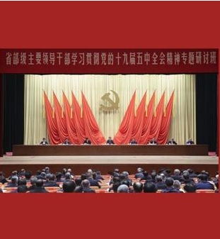 新華社評論員：心懷“國之大者”，主動擔當作為