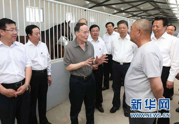這是7月3日，王岐山在錫林浩特市義合良種馬繁育基地考察。新華社記者 龐興雷 攝