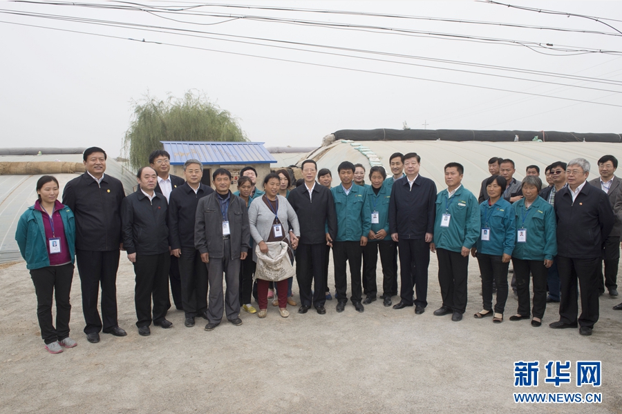10月22日至23日，中共中央政治局常委、國務院副總理張高麗在山東調(diào)研扶貧工作情況。這是10月23日，張高麗在菏澤市定陶縣杜堂鎮(zhèn)轆灣村中遠蔬菜專業(yè)合作社調(diào)研時與當?shù)夭宿r(nóng)合影。 新華社記者 王曄 攝