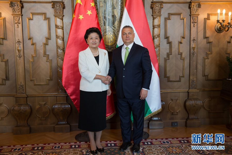  6月21日，國務(wù)院副總理劉延?xùn)|（左）在匈牙利布達佩斯國會大廈會見匈牙利總理歐爾班。 新華社發(fā)（弗爾季·奧蒂洛攝）