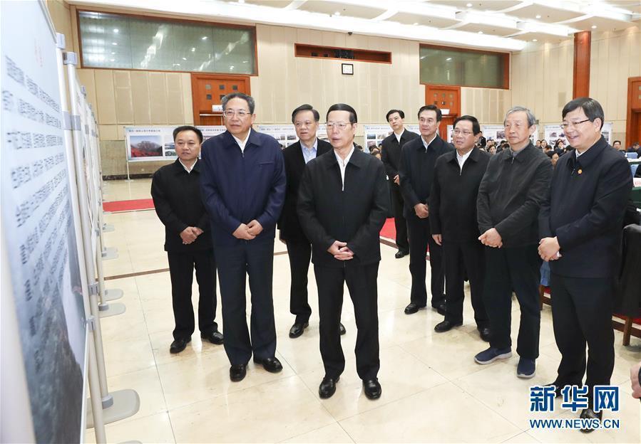 1月9日至10日，國務(wù)院副總理張高麗在安徽調(diào)研推動長江經(jīng)濟(jì)帶發(fā)展工作。這是1月10日，張高麗主持召開推動長江經(jīng)濟(jì)帶發(fā)展工作會議前聽取介紹。新華社記者 龐興雷 攝