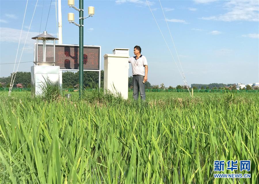 （新華全媒頭條·紀念改革開放40年特稿·圖文互動）（6）向著新航程揚帆奮進！——從小崗精神看中國改革開放40年