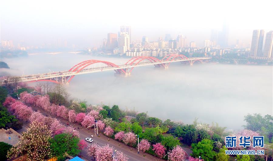 （鏡觀中國·新華網(wǎng)）（7）新華社國內照片一周精選