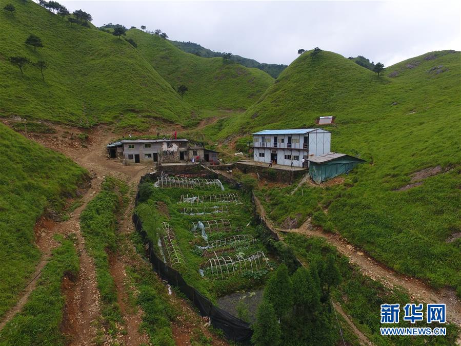 （新華全媒頭條·圖文互動）（3）一個人，一座山——劉真茂的生命守望