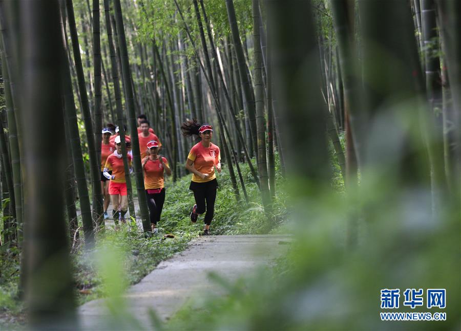 #(社會)(4)跑步山林間