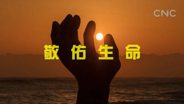 “一帶一路”全球行| 仁濟(jì)天下 大愛無(wú)疆
