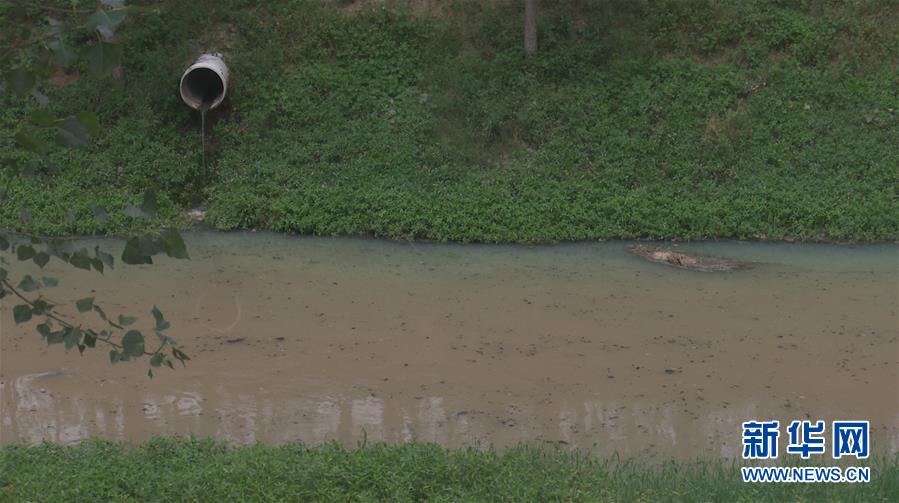 （新華視點(diǎn)·圖文互動(dòng)）（4）上游洪水來(lái)襲下游魚蟹死亡，泄洪為何變泄污？