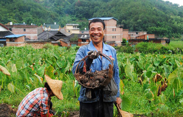 秋收的中國(guó)，你想象不到的美！但更美的是……