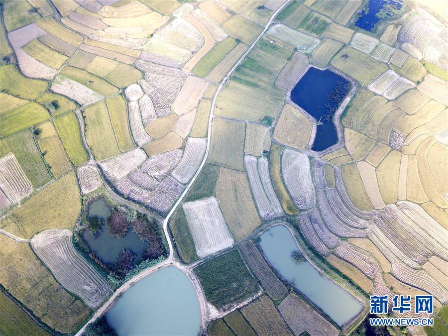 （新華全媒頭條·壯闊東方潮　奮進新時代——慶祝改革開放40年·圖文互動）（2）小崗，與時代同行——“中國農(nóng)村改革第一村”40年變遷的改革啟示