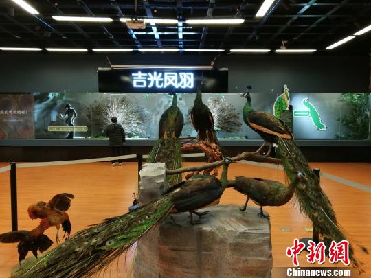 先有雞還是先有蛋？這個(gè)科普展覽有點(diǎn)“不一般”