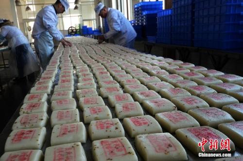 資料圖：師傅們在把制作好的桂花糖年糕擺放整齊。王思哲 攝
