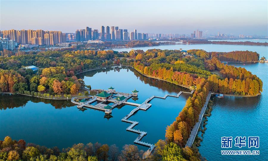 （兩會·圖文互動）（6）“這樣的綠道太贊了！”——代表委員熱議東湖綠道建設(shè)