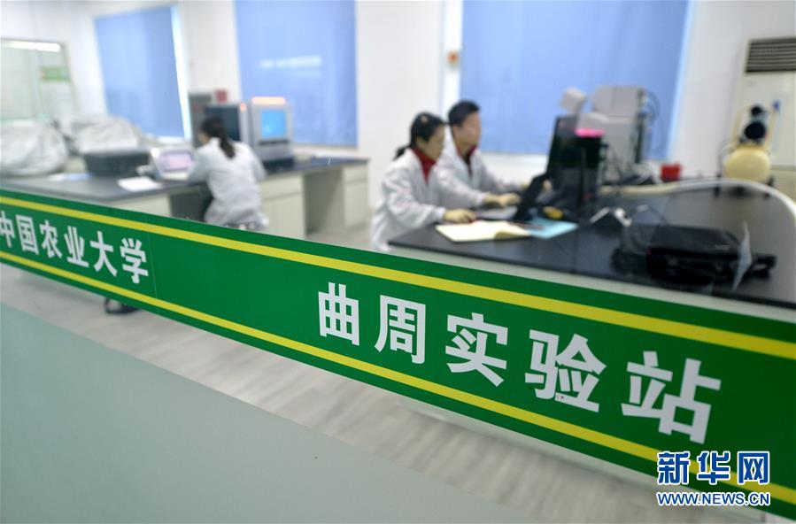 （愛(ài)國(guó)情 奮斗者·圖文互動(dòng)）（3） “解民生之多艱，育天下之英才”——中國(guó)農(nóng)大師生扎根田野書(shū)寫(xiě)奉獻(xiàn)之歌
