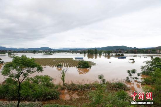 資料圖：湖南省臨武縣武水鎮(zhèn)、南強(qiáng)鎮(zhèn)、汾市鎮(zhèn)、水東鎮(zhèn)、金江鎮(zhèn)等鄉(xiāng)鎮(zhèn)遭遇特大暴雨襲擊，導(dǎo)致大量民房和農(nóng)田被淹。據(jù)不完全統(tǒng)計(jì)，該縣數(shù)千戶(hù)民房被淹，數(shù)十萬(wàn)畝農(nóng)田、果園、煙田被淹斷收，直接經(jīng)濟(jì)損失達(dá)數(shù)千萬(wàn)元。災(zāi)情發(fā)生后，當(dāng)?shù)卣跋嚓P(guān)部門(mén)第一時(shí)間奔赴受災(zāi)鄉(xiāng)鎮(zhèn)轉(zhuǎn)移群眾，察看災(zāi)情并積極組織村民排澇自救、發(fā)放救災(zāi)物資、開(kāi)展保險(xiǎn)理賠等工作。目前救災(zāi)工作正在有序進(jìn)行，無(wú)人員傷亡。唐盛歡 攝