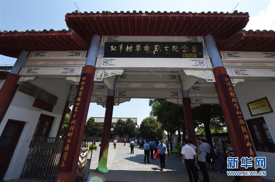 （壯麗70年·奮斗新時代——記者再走長征路·圖文互動）（4）“紅軍樹”下憶初心、守初心