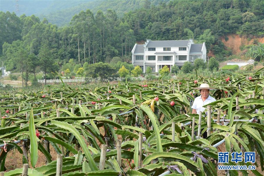 （在習(xí)近平新時代中國特色社會主義思想指引下——新時代新作為新篇章·總書記關(guān)心的百姓身邊事·圖文互動）（6）大污染變身“大寶藏”：治理畜禽糞污，他們這樣干！
