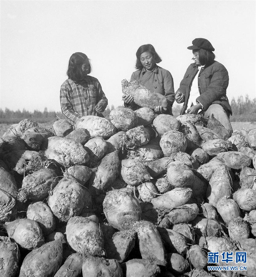 （圖文互動）（2）為了“中國號”巨輪揚(yáng)帆遠(yuǎn)航——中國共產(chǎn)黨領(lǐng)導(dǎo)下的人民軍隊忠于祖國、服務(wù)人民啟示錄