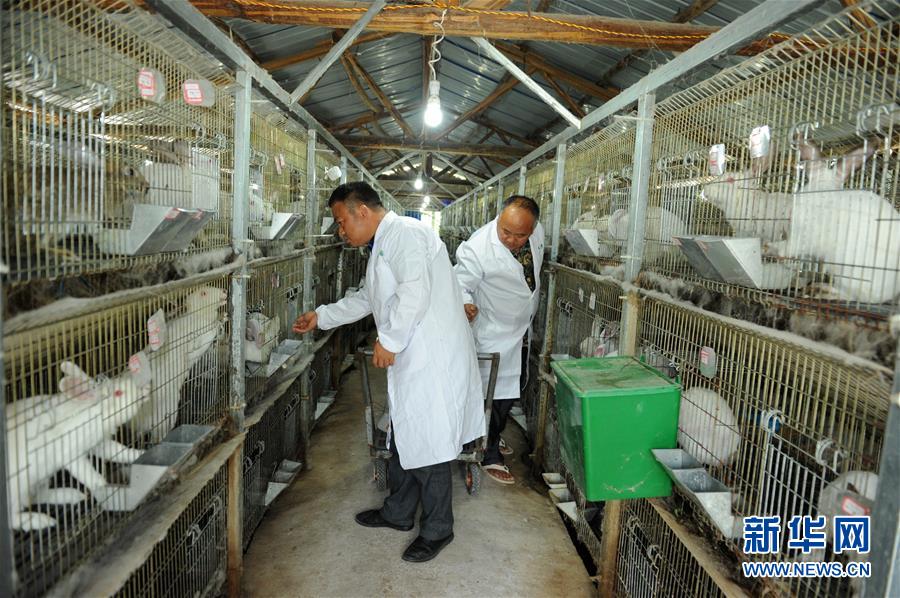 （新華全媒頭條·圖文互動）（4）干部去哪兒了？——貴州干部大規(guī)模下沉脫貧攻堅一線紀實