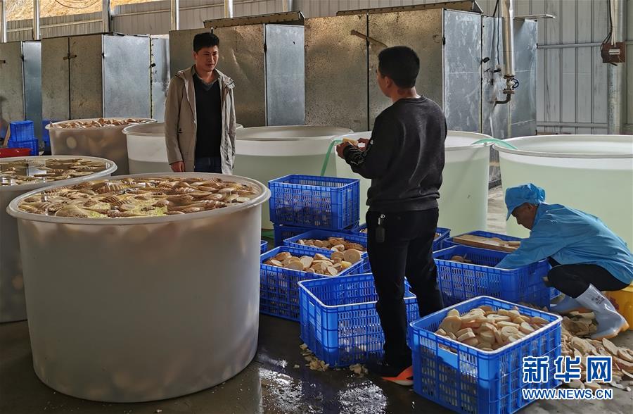（決戰(zhàn)決勝脫貧攻堅·圖文互動）掛牌督戰(zhàn)，一個都不能少——江西確保剩余9.6萬貧困人口全部脫貧