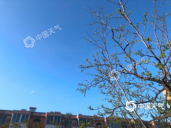 陣風8級！北京遭遇雨后大降溫 北風勁吹需添衣