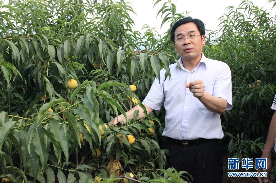 （圖文互動）（2）“為脫貧而來，為脫貧而去”——追記湖南炎陵縣委原書記黃詩燕 