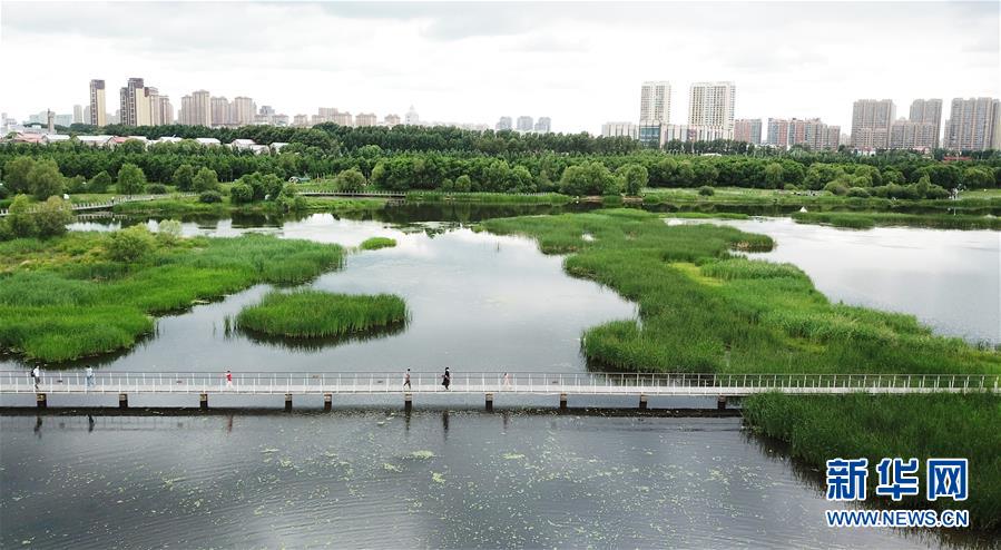 （走向我們的小康生活·圖文互動）（1）水清、地綠、空氣新——最北省份黑龍江繪就生態(tài)治理新畫卷