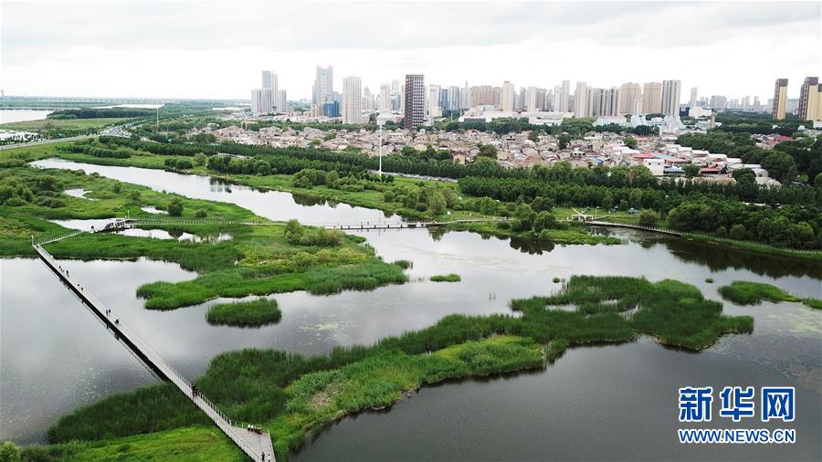 （走向我們的小康生活·圖文互動）（2）水清、地綠、空氣新——最北省份黑龍江繪就生態(tài)治理新畫卷