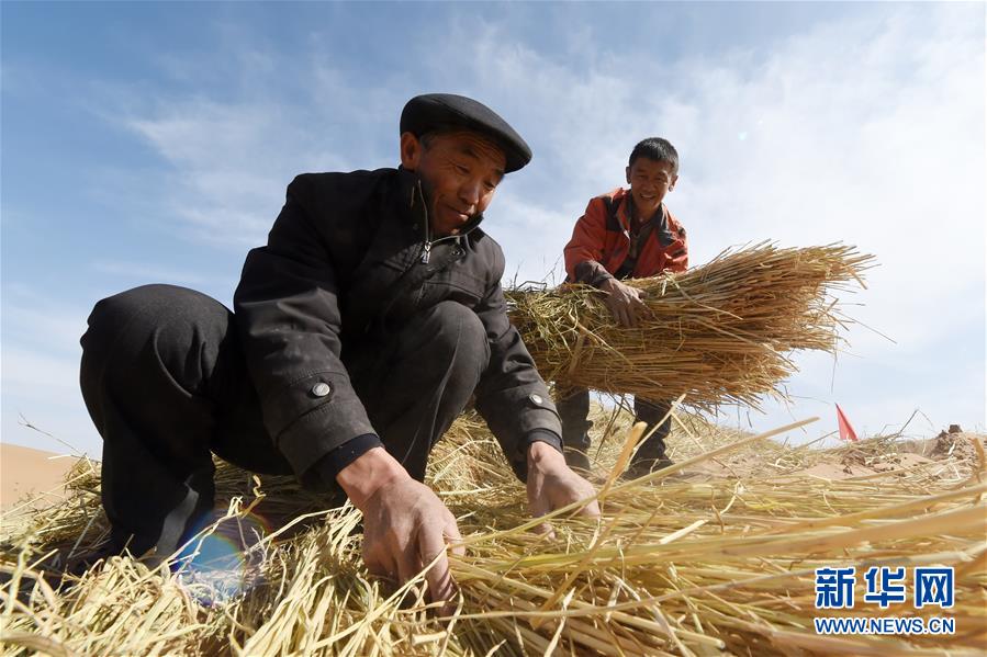 （在習近平新時代中國特色社會主義思想指引下——新時代新作為新篇章·習近平總書記關切事·圖文互動）（5）綠色映底蘊，山水見初心——生態(tài)優(yōu)先、綠色發(fā)展持續(xù)造福群眾美好生活