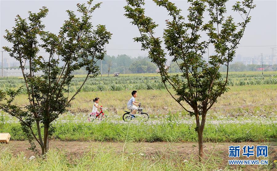 （新華全媒頭條·走向我們的小康生活·圖文互動）（14）城市，讓人民生活更美好