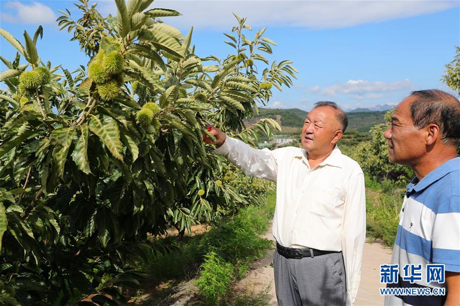 （新華全媒頭條·走向我們的小康生活·圖文互動）（11）長城腳下，小康村串成“珍珠鏈”