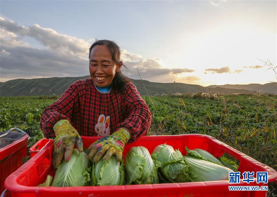 （新華全媒頭條·決戰(zhàn)決勝脫貧攻堅·督戰(zhàn)未摘帽貧困縣·圖文互動）（1）不獲全勝，決不收兵——全國52個掛牌督戰(zhàn)貧困縣脫貧攻堅紀(jì)實