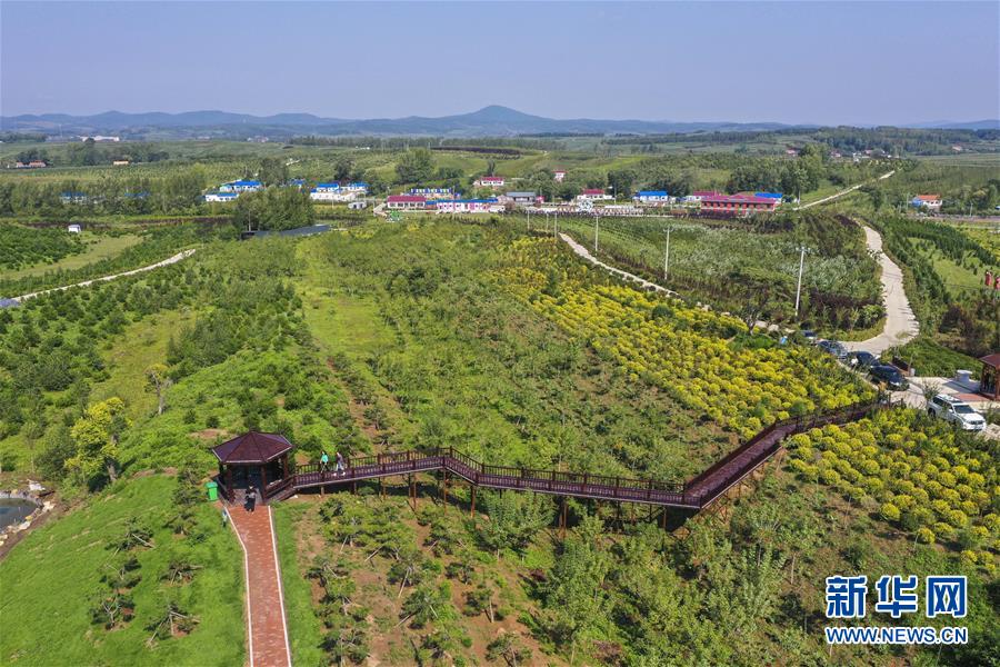 （新華全媒頭條·走向我們的小康生活·圖文互動(dòng)）（16）黑土地上是我家——在吉林，一瞥中國東北鄉(xiāng)村美麗未來