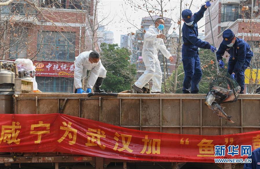 （新華全媒頭條·圖文互動(dòng)）（12）從人民中汲取磅礴力量——習(xí)近平總書記同出席2020年全國(guó)兩會(huì)人大代表、政協(xié)委員共商國(guó)是紀(jì)實(shí)