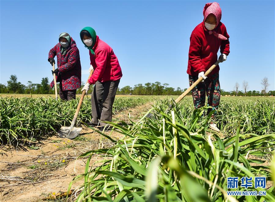 （新華全媒頭條·圖文互動(dòng)）（17）從人民中汲取磅礴力量——習(xí)近平總書記同出席2020年全國(guó)兩會(huì)人大代表、政協(xié)委員共商國(guó)是紀(jì)實(shí)