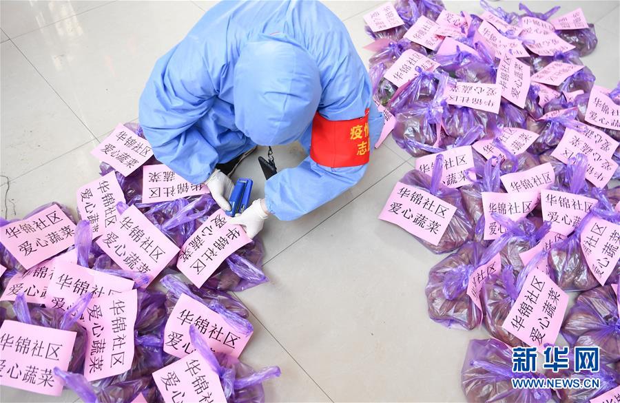 （習近平致敬的戰(zhàn)“疫”英雄·志愿者篇·圖文互動）（11）他們，微光成炬照征程