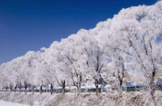 全國初雪時(shí)間表出爐 看看你離初雪還有多遠(yuǎn)？