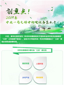 劃重點(diǎn)！2019年中央一號文件中的硬任務(wù)怎么干