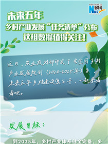 未來五年鄉(xiāng)村產(chǎn)業(yè)發(fā)展“任務(wù)清單”公布 這組數(shù)據(jù)值得關(guān)注！