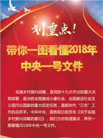 劃重點(diǎn)！帶你一圖看懂2018年中央一號(hào)文件