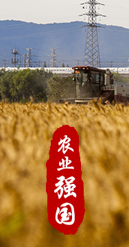 農業(yè)強國是社會主義現(xiàn)代化強國的根基。