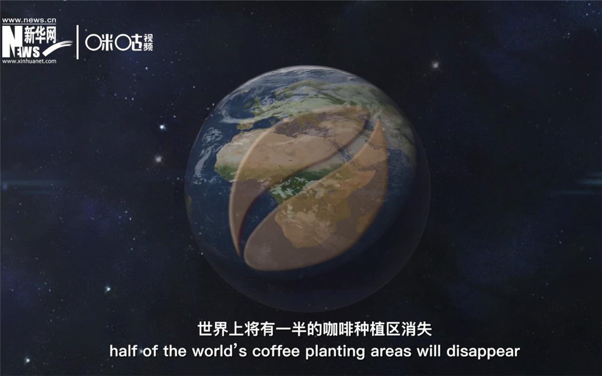 科學(xué)家預(yù)測到三十年后，世界上將有一半的咖啡種植區(qū)消失