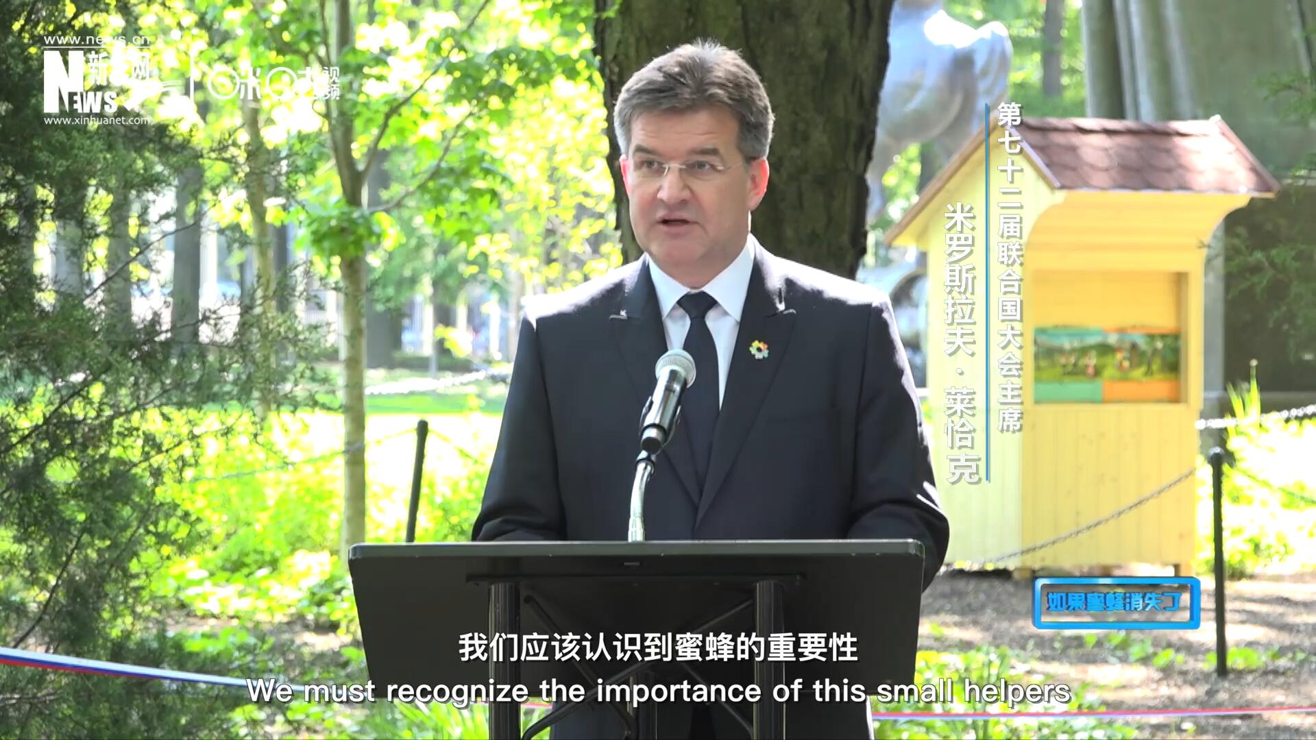 我們應(yīng)該認(rèn)識(shí)到蜜蜂的重要性，所以我們用“世界蜜蜂日”提高大家保護(hù)蜜蜂的意識(shí)，并且用實(shí)際行動(dòng)去保護(hù)蜜蜂