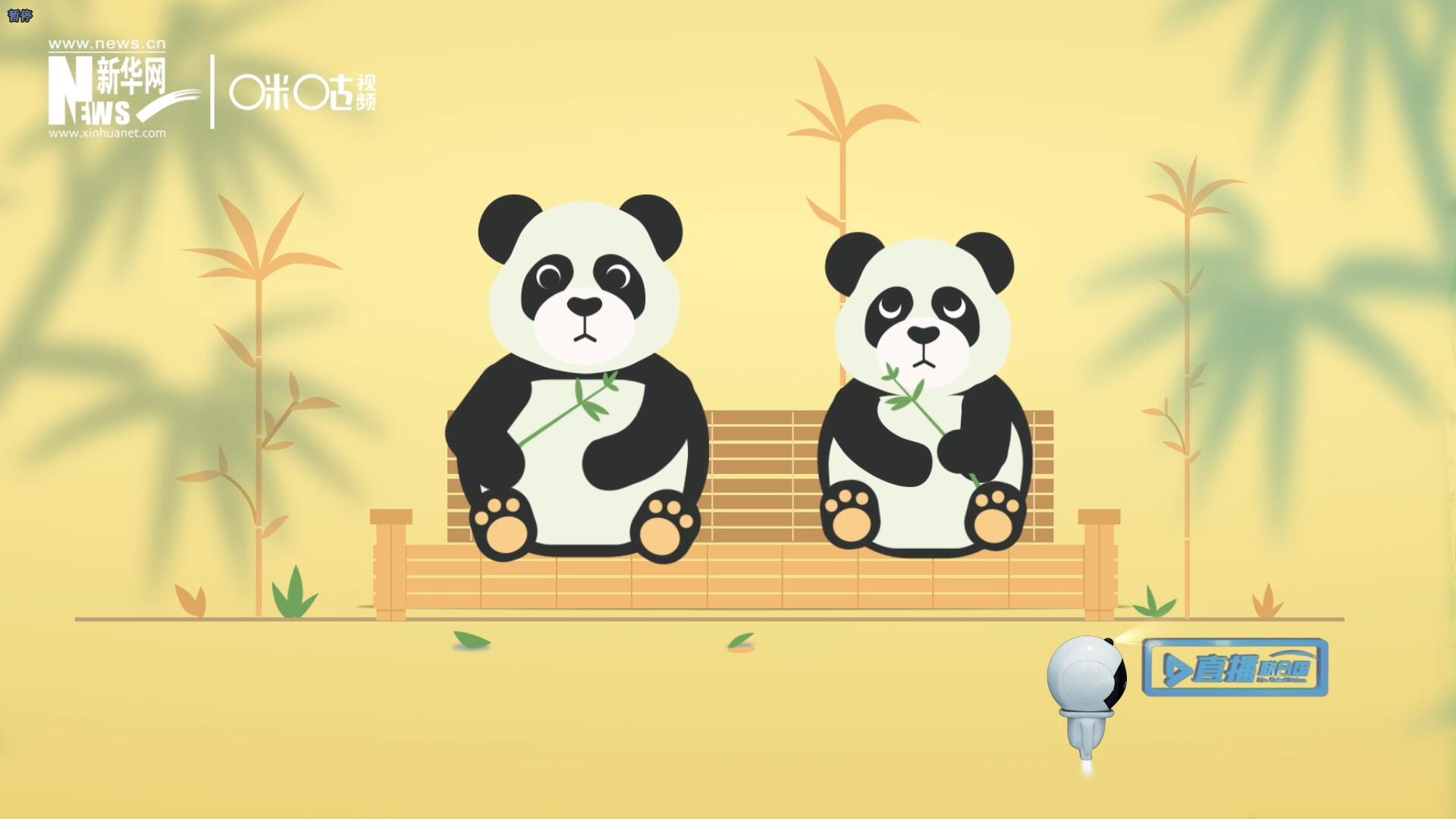 “哥哥你看，又有人來(lái)看我們了。”“有什么奇怪的，我們可是聯(lián)合國(guó)‘最萌’的大使?。?rdquo;。