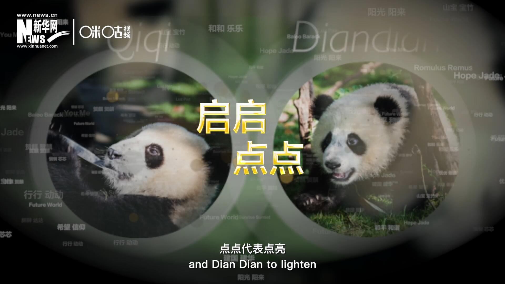 啟啟代表“啟發(fā)”，點(diǎn)點(diǎn)代表“點(diǎn)亮”，象征著2030年可持續(xù)發(fā)展議程 的“起點(diǎn)”，也象征著全球可持續(xù)發(fā)展路徑的新起點(diǎn)。