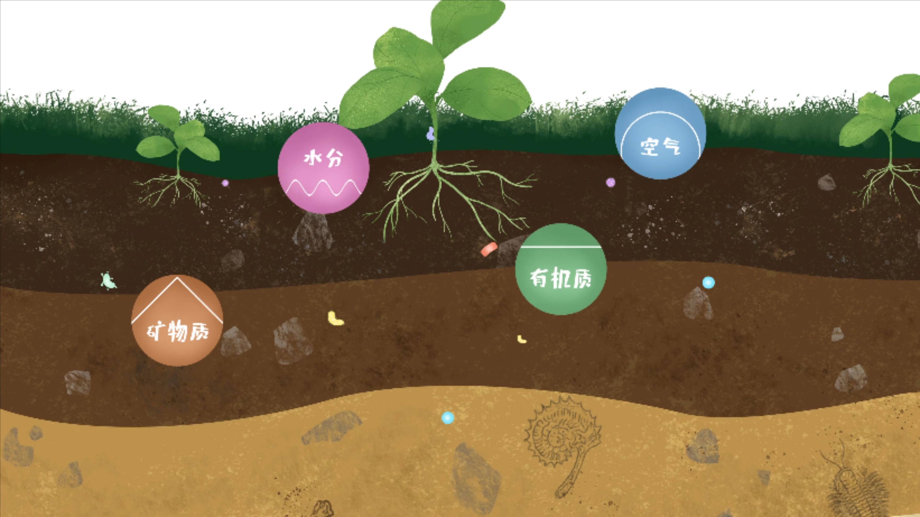 土壤由礦物質(zhì)、有機(jī)質(zhì)、水分、空氣及包括微生物在內(nèi)的生物體等組成
