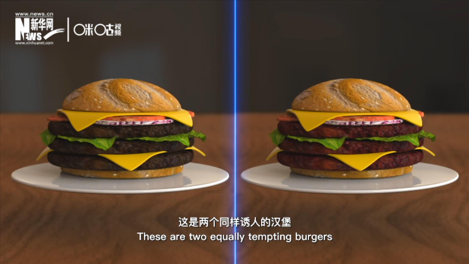人造肉漢堡能在生產(chǎn)過程中節(jié)約水、土地、排放以及能量