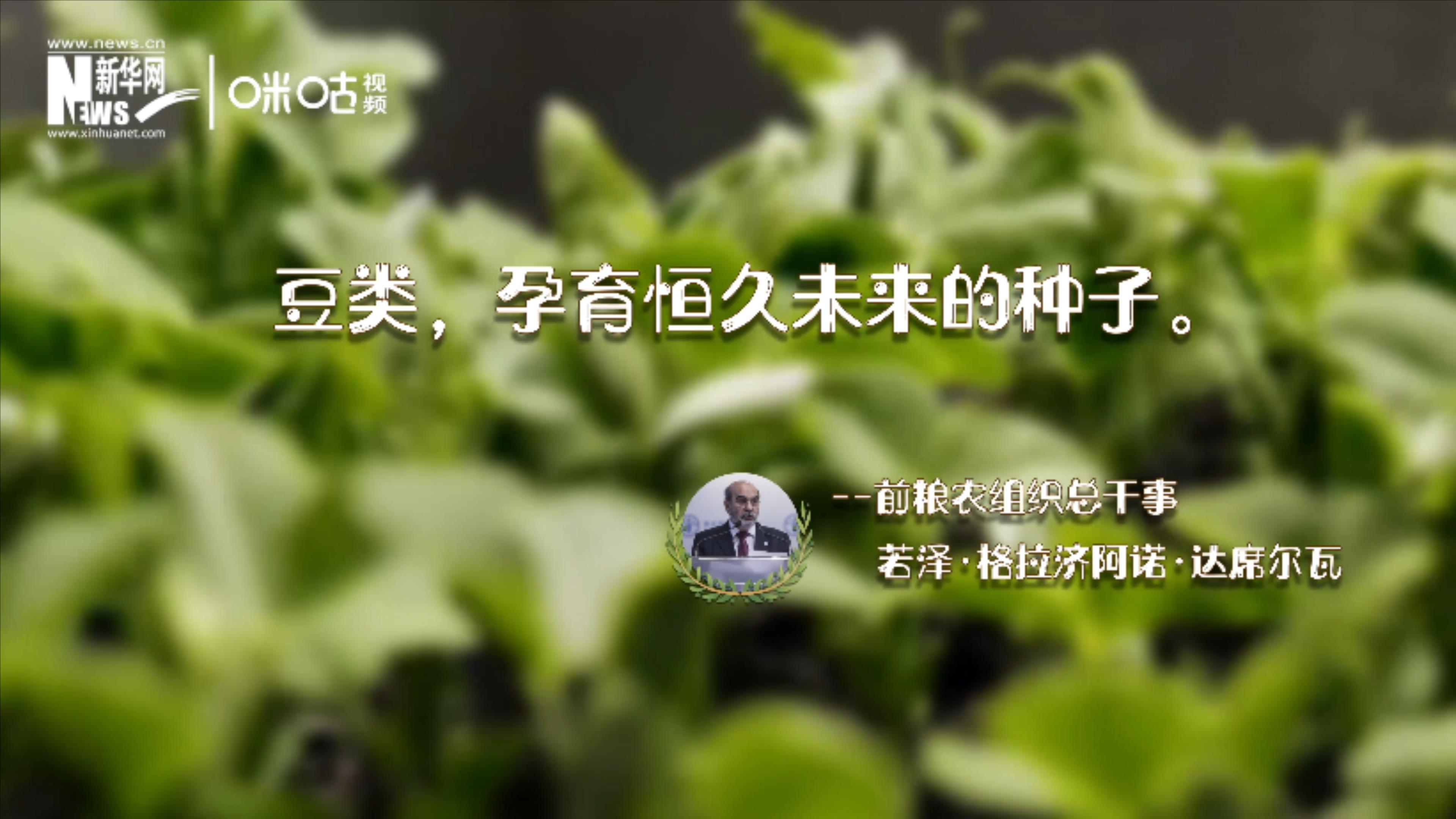 豆類，孕育恒久未來(lái)的種子