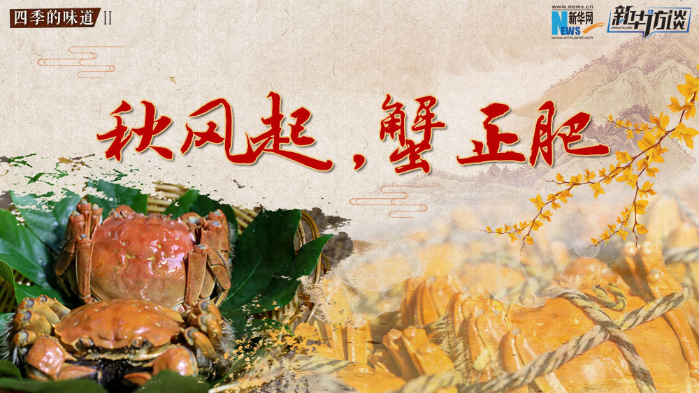 秋風(fēng)起，蟹正肥