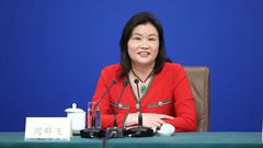 全國政協(xié)委員、全國工商聯(lián)執(zhí)行委員會(huì)常委、藍(lán)思科技股份有限公司董事長 周群飛