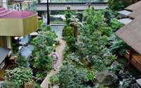 震撼！日本最豪華的廁所（組圖）